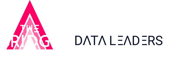 Data Leader logo